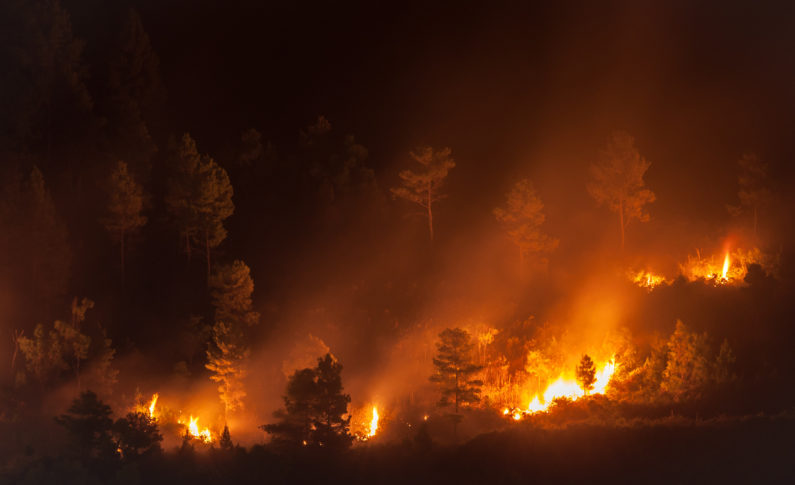 CUNA: California credit unions hold fast in face of 'apocalyptic' wildfires