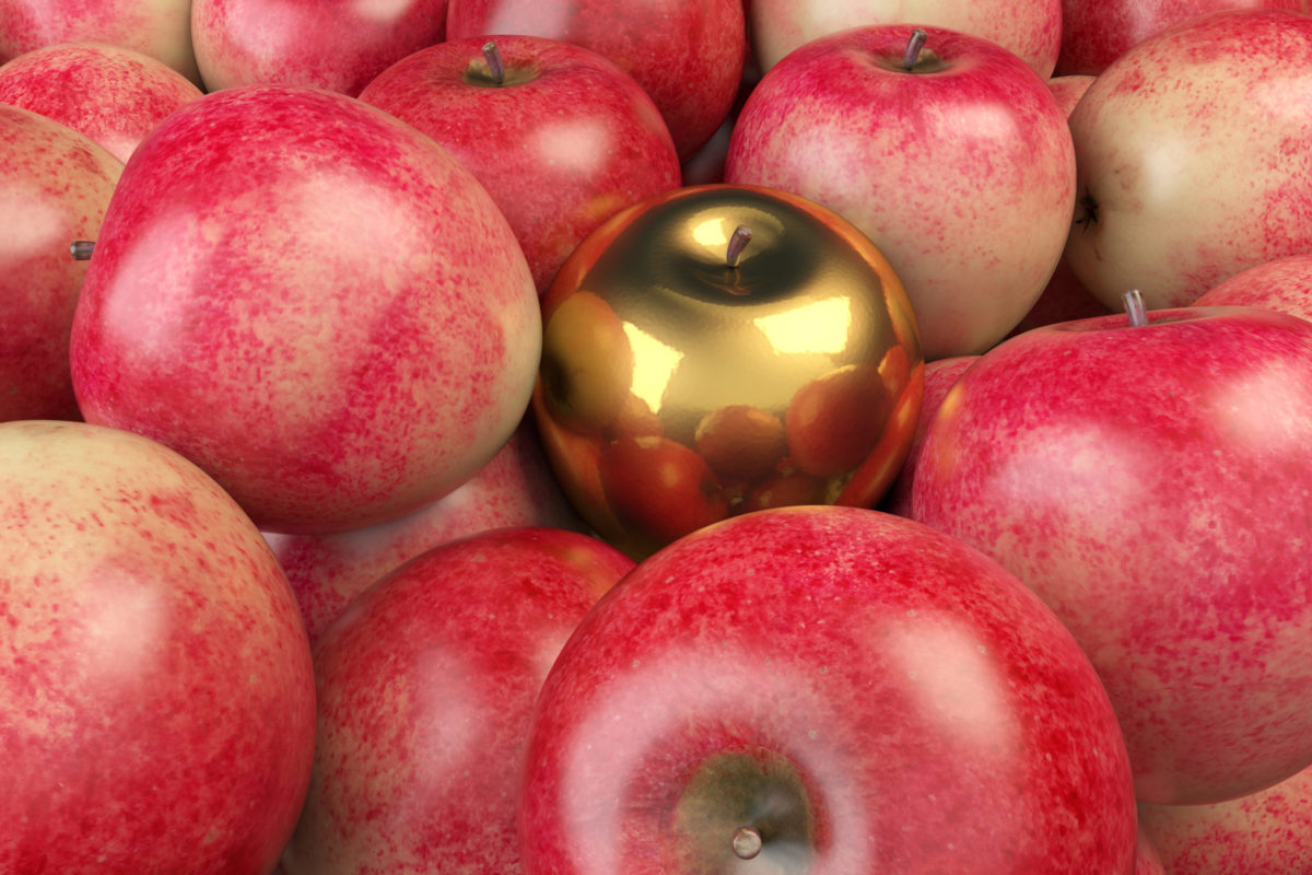 Kinetic Credit Union awards Golden Apple to local 3rd-grade teacher