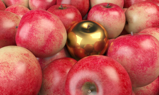 Kinetic Credit Union awards Golden Apple to local 3rd-grade teacher